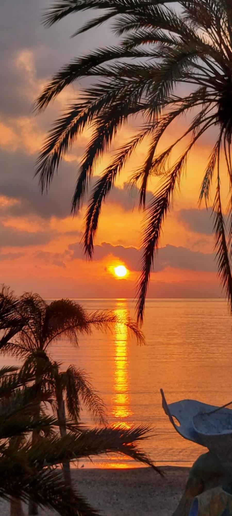 Villa Panoramica Menton Dış mekan fotoğraf